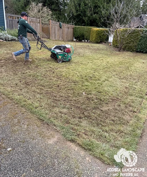 Lawn Care & Sprinkler System Installation in Lynnwood 